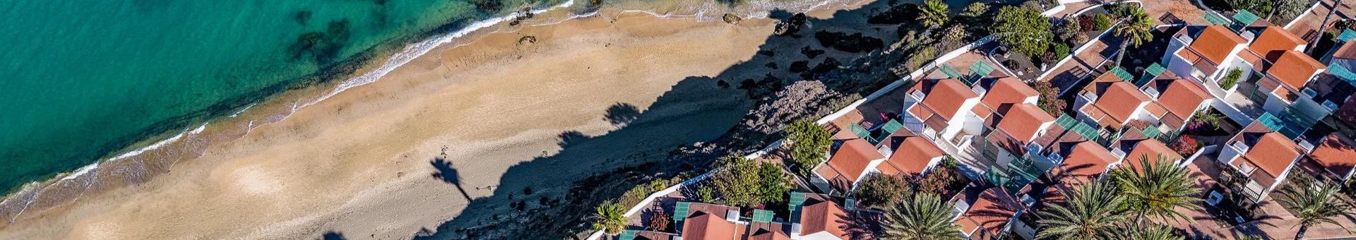 Strand mit Palmen am Meer