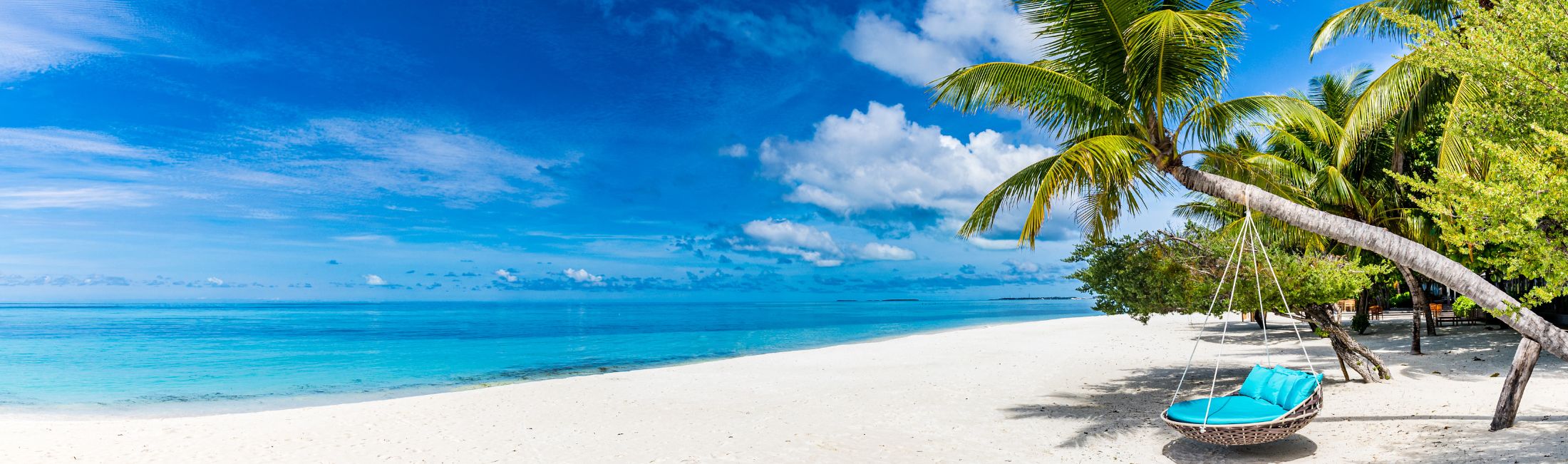 Strand mit Meer und Palmen